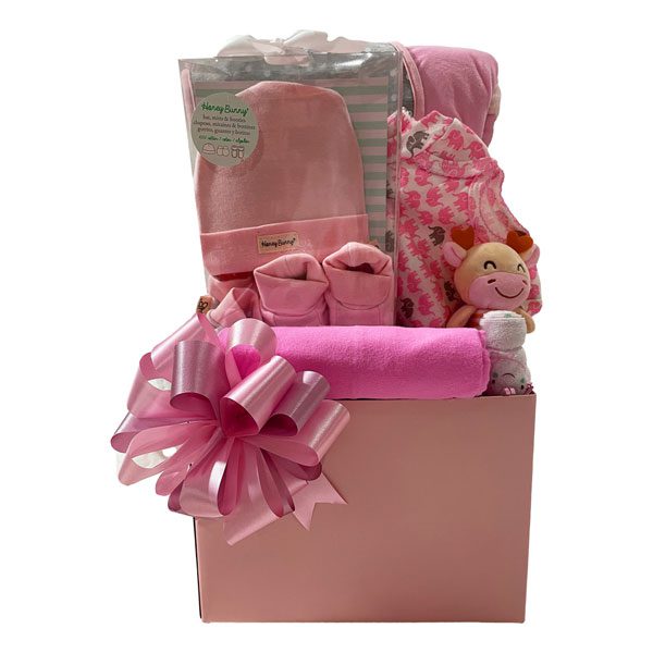 All For Baby Girl-a receiving blanket, a 4 piece set of a hat, 2 piece pajamas and booties in a gift box, a reversible chamois blanket (so fluffy!), a wash cloth, a onsie, a bib and a soft stick rattle.