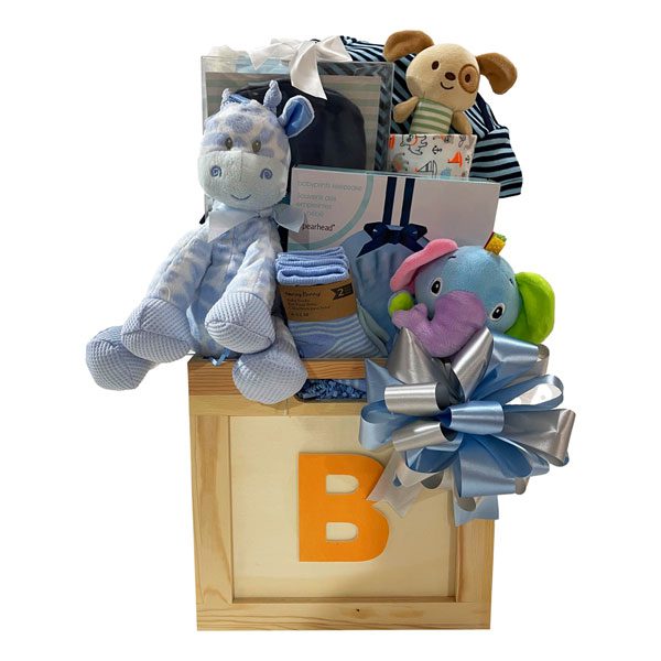 Toy Box (Boy)-a wood alphabet storage box filled with a plush toy, hand print kit, onsie, reversible blanket, receiving blanket, toys and so much more!