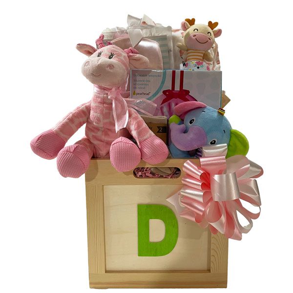 Baby Box designed for a baby girl and mommy and filled with 2 pairs of socks, a plush animal, baby booties, a soft rattle, a onsie, receiving blanket and for mom, chocolate truffles, herbal tea and a box of Cookie It Up shortbread