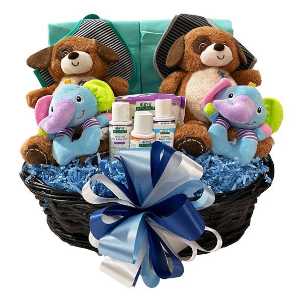 Two Times The Fun Twin Gift Basket designed for two baby boys! Bibs, receiving blankets, plush animal, rattles and bath products to welcome the new little princes!