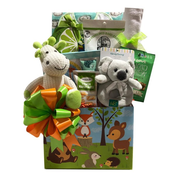 Forest Friends-filled with baby toys, clothing and plush for baby and treats for mom and dad too.