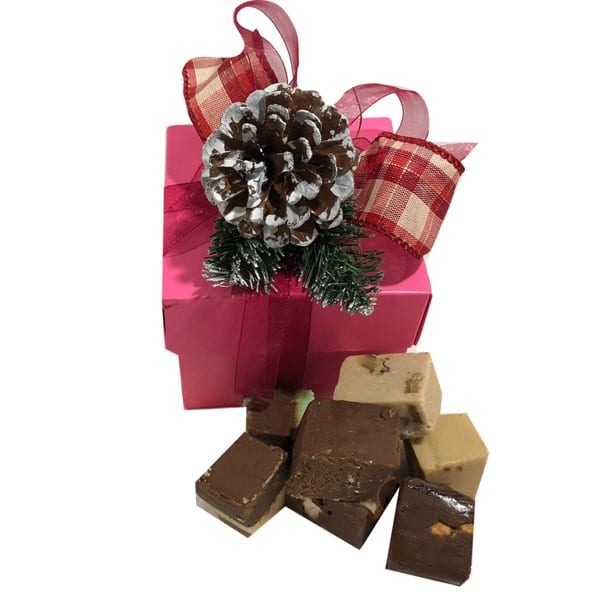 Holiday Fudge Sampler Gift Box holds a variety of fudge flavors in a bright pink gift box with Christmas ribbons and accents