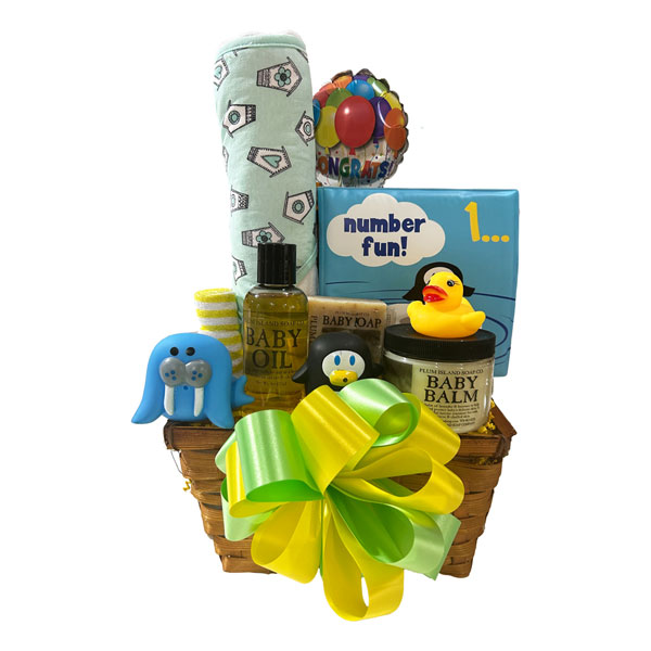 Splash Baby Bath basket with hooded towel, bath toys, a bath book, face cloth, baby oil, soap, bam and natural baby oils
