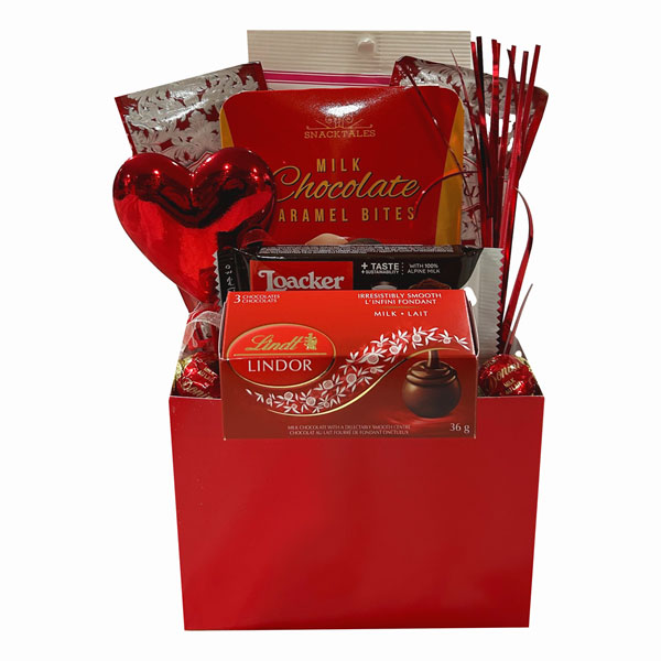 Valentine Goodies-filled with Lindt, cookies, hot chocolate, wild cherry candies, chocolate caramels and more!