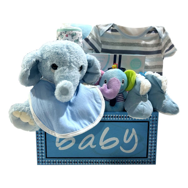 Baby Boy Collection with a luxurious blanket, onsie, handprint kit, booties, plush rattle, receiving blanket and plush toy