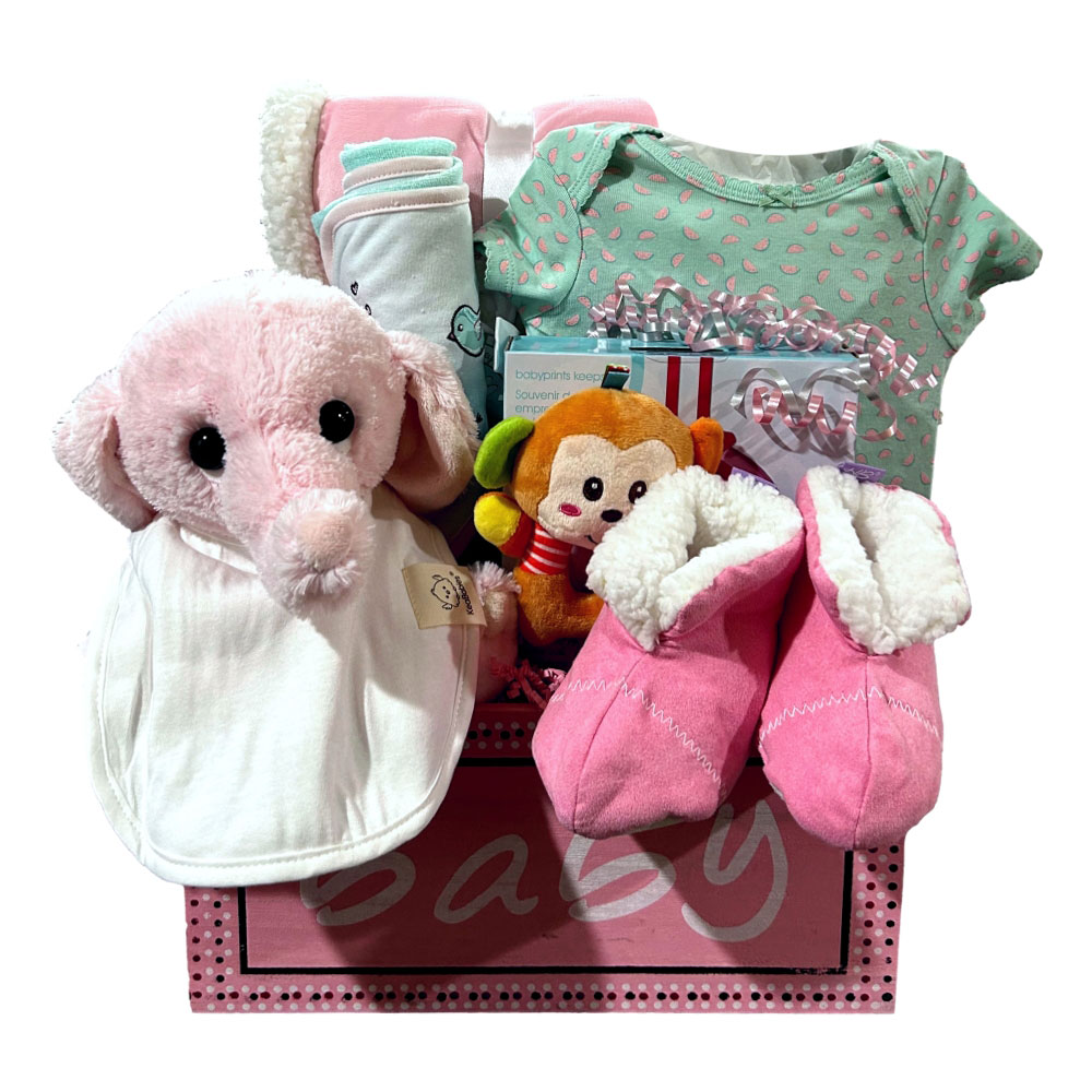 Baby Girl Collection with a luxurious blanket, onsie, handprint kit, booties, plush rattle, receiving blanket and plush toy