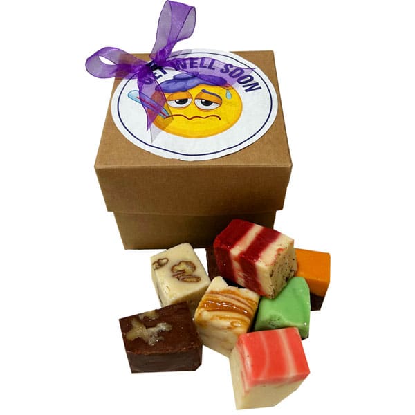 Get Well Fudge Sampler-with 8 pieces of assorted fudge in a gift box with a Get Well label